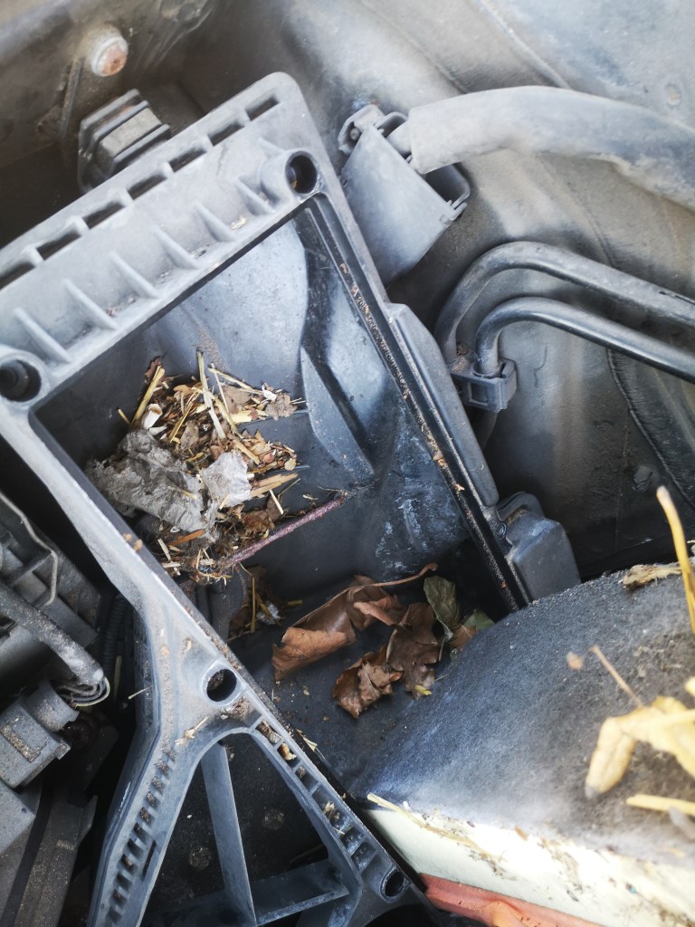 dirt air filter box on an audi a5 b8